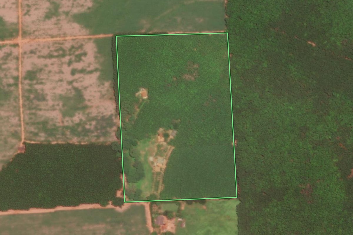 Imagem de satélite do imóvel rural em Guapiaçu (SP), com o contorno declarado no CAR desenhado por cima.