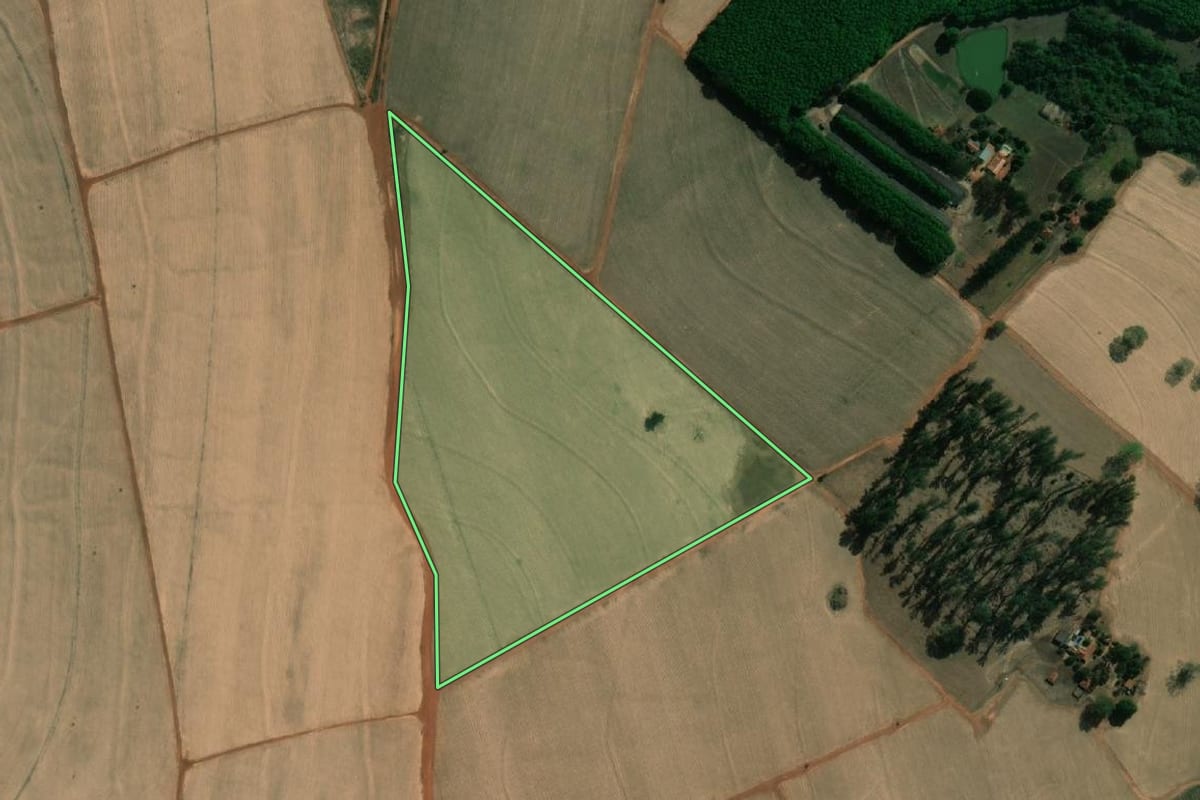 Imagem de satélite do imóvel rural em Guapiaçu (SP), com o contorno declarado no CAR desenhado por cima.