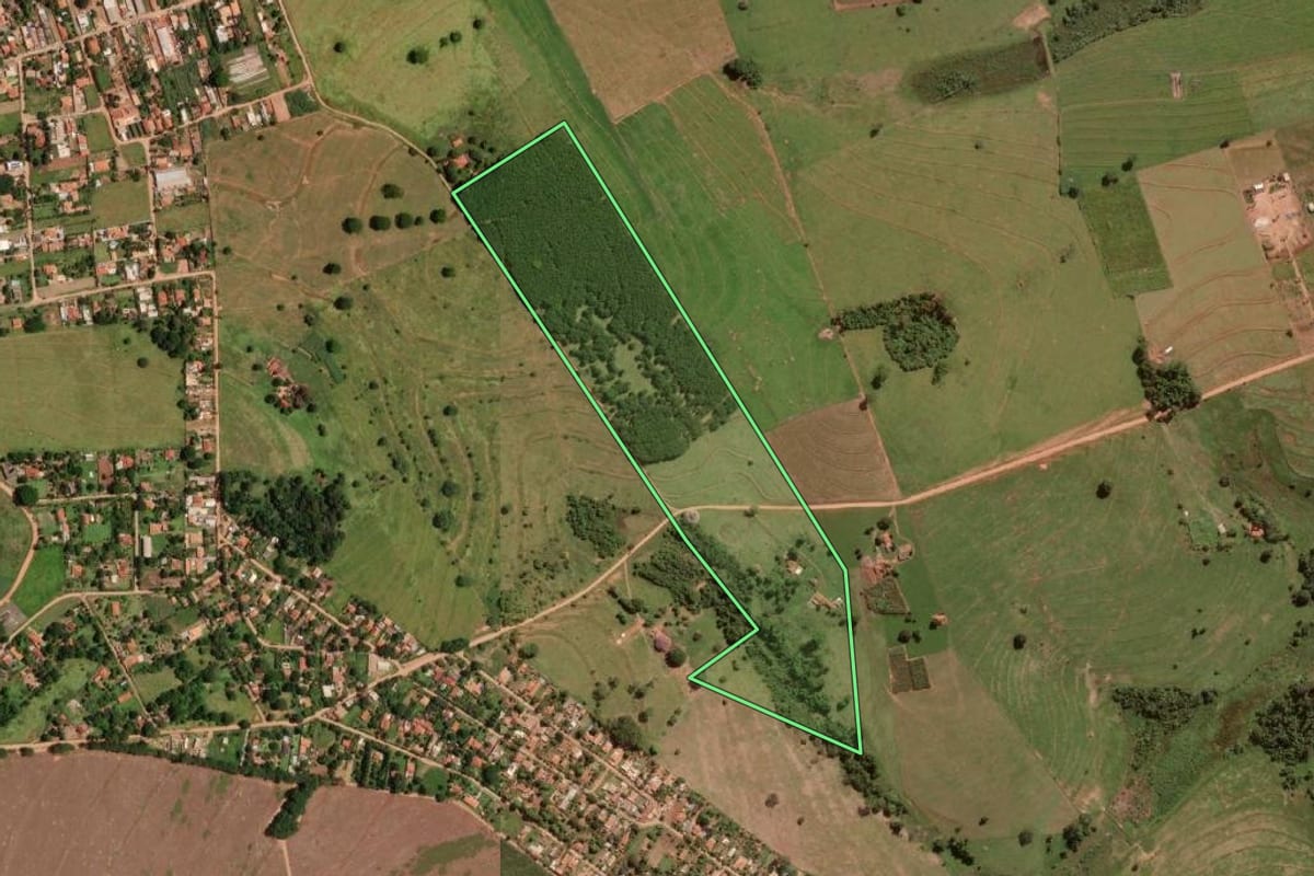 Imagem de satélite do imóvel rural em Guapiaçu (SP), com o contorno declarado no CAR desenhado por cima.