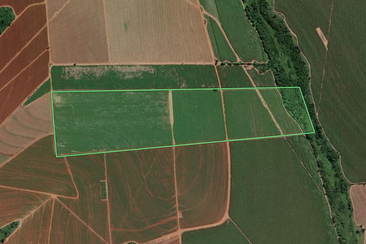 Imagem de satélite do imóvel rural em Guapiaçu (SP), com o contorno declarado no CAR desenhado por cima.