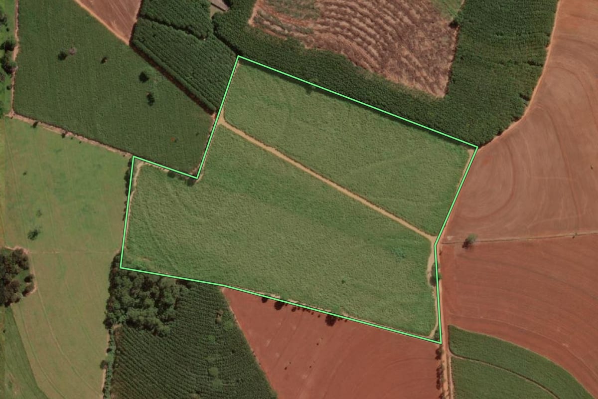 Imagem de satélite do imóvel rural em Guapiaçu (SP), com o contorno declarado no CAR desenhado por cima.