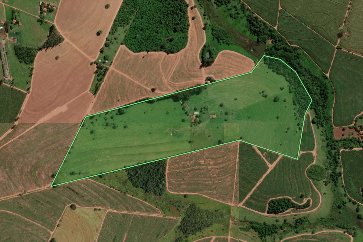 Imagem de satélite do imóvel rural em Guapiaçu (SP), com o contorno declarado no CAR desenhado por cima.