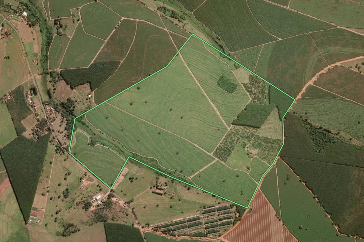 Imagem de satélite do imóvel rural em Guapiaçu (SP), com o contorno declarado no CAR desenhado por cima.