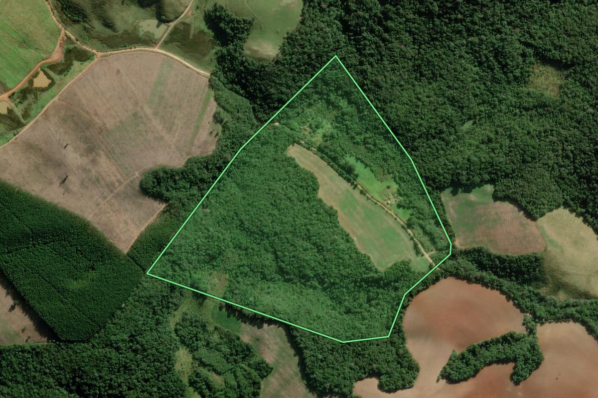Imagem de satélite do imóvel rural em Guapiara (SP), com o contorno declarado no CAR desenhado por cima.