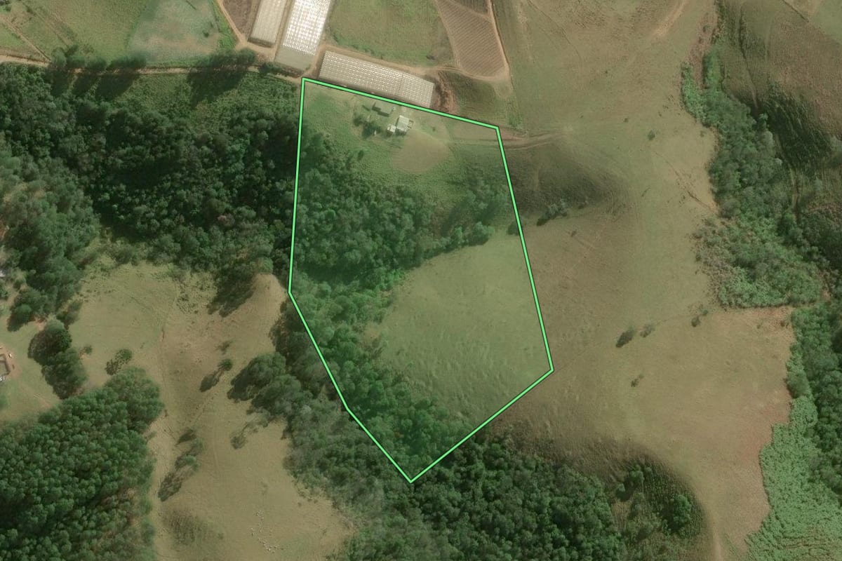 Imagem de satélite do imóvel rural em Guapiara (SP), com o contorno declarado no CAR desenhado por cima.