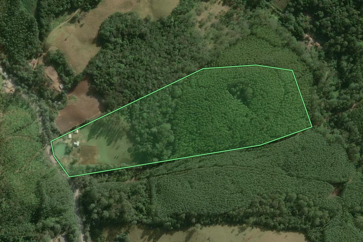 Imagem de satélite do imóvel rural em Guapiara (SP), com o contorno declarado no CAR desenhado por cima.
