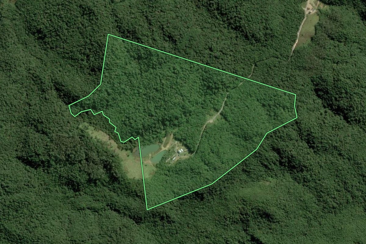 Imagem de satélite do imóvel rural em Guapiara (SP), com o contorno declarado no CAR desenhado por cima.