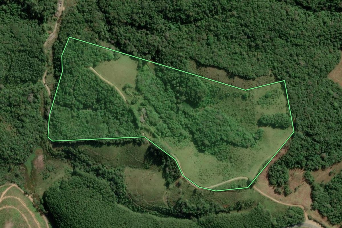 Imagem de satélite do imóvel rural em Guapiara (SP), com o contorno declarado no CAR desenhado por cima.