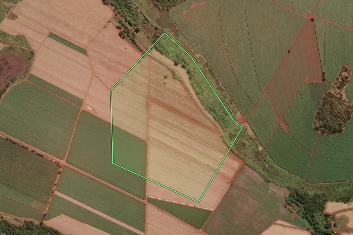 Imagem de satélite do imóvel rural em Guará (SP), com o contorno declarado no CAR desenhado por cima.