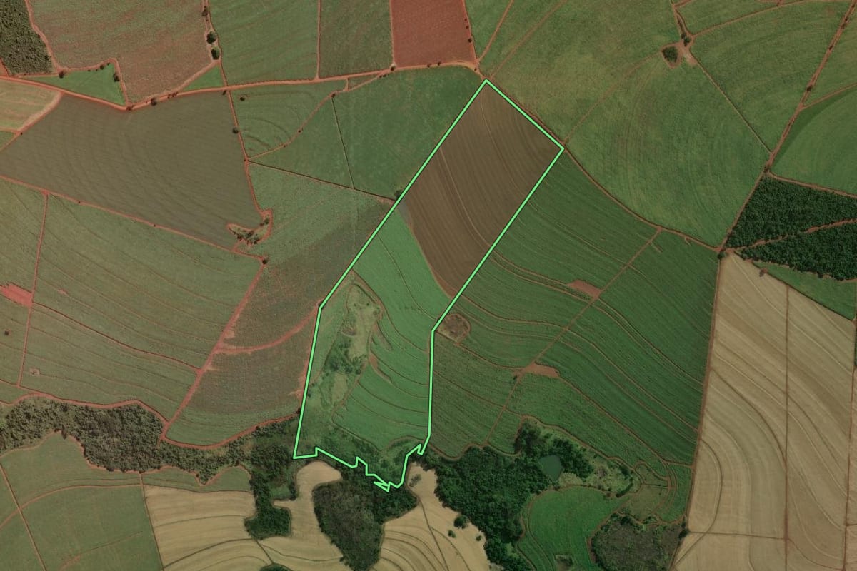 Imagem de satélite do imóvel rural em Guará (SP), com o contorno declarado no CAR desenhado por cima.