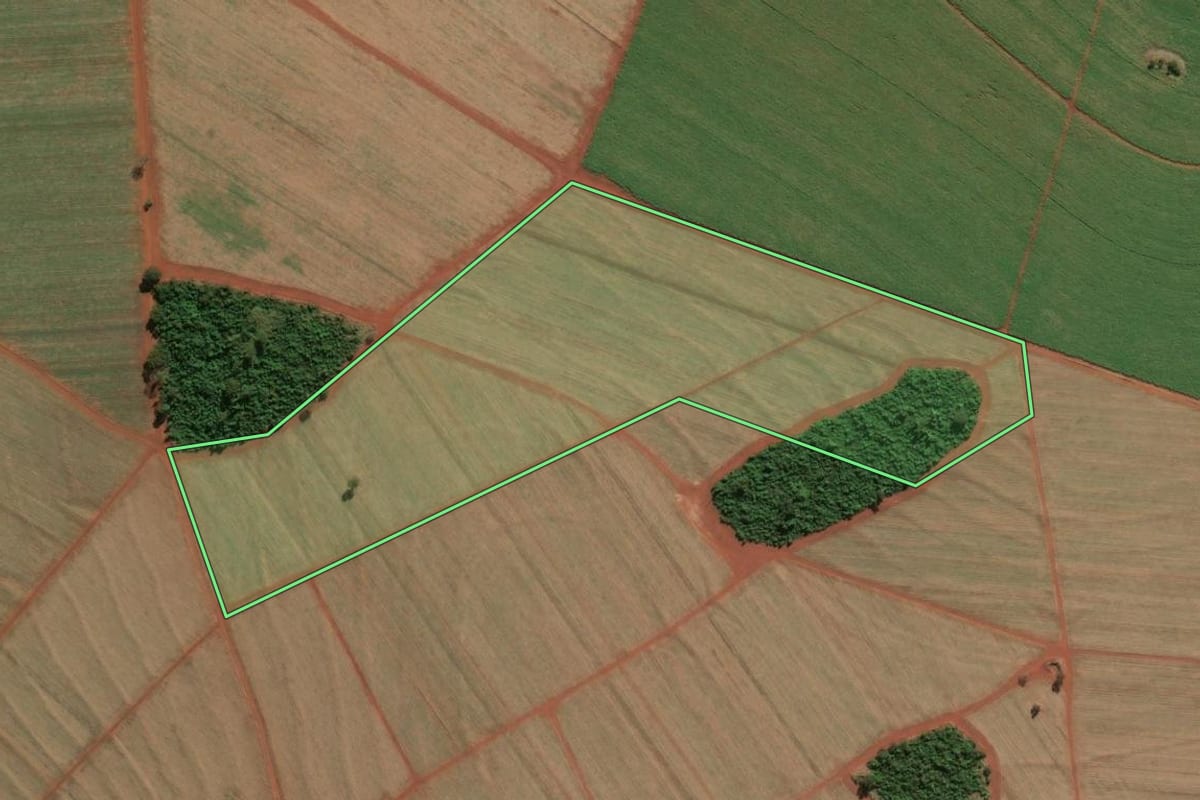 Imagem de satélite do imóvel rural em Guará (SP), com o contorno declarado no CAR desenhado por cima.