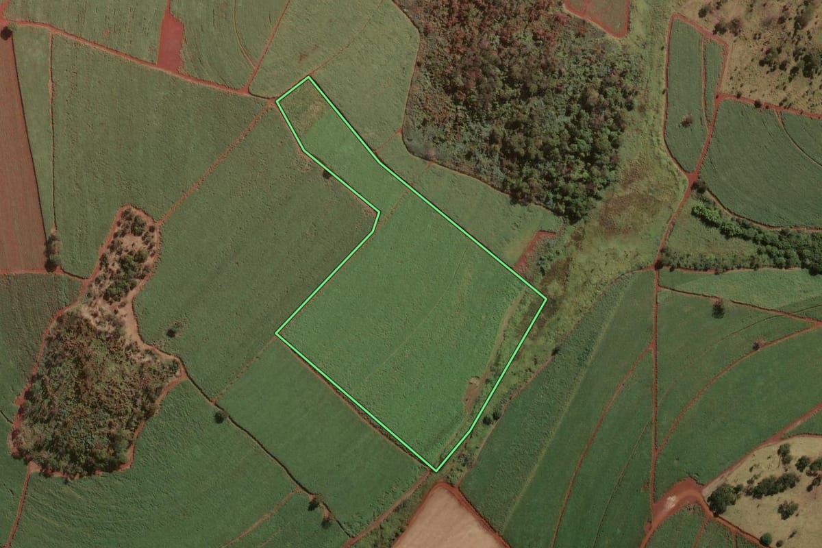 Imagem de satélite do imóvel rural em Guará (SP), com o contorno declarado no CAR desenhado por cima.