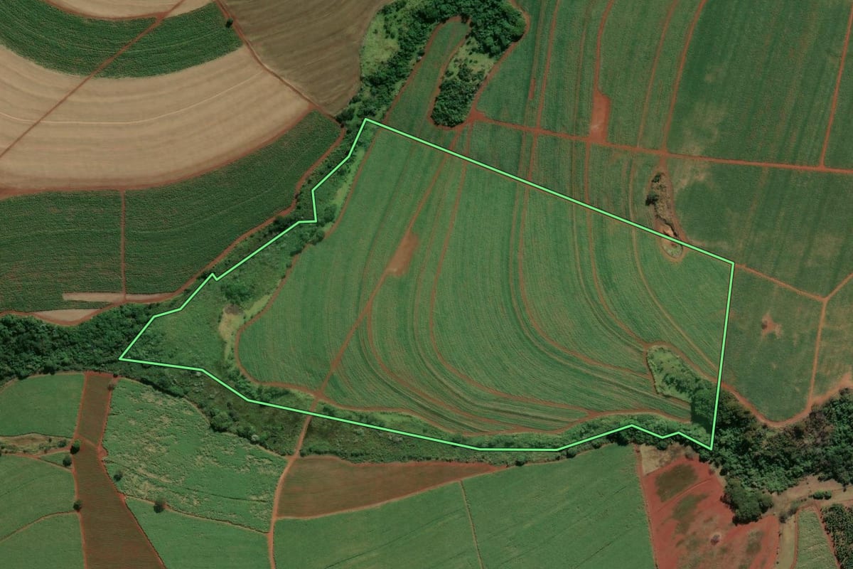 Imagem de satélite do imóvel rural em Guará (SP), com o contorno declarado no CAR desenhado por cima.