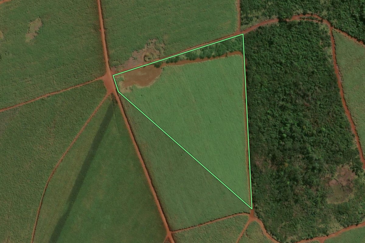 Imagem de satélite do imóvel rural em Guará (SP), com o contorno declarado no CAR desenhado por cima.