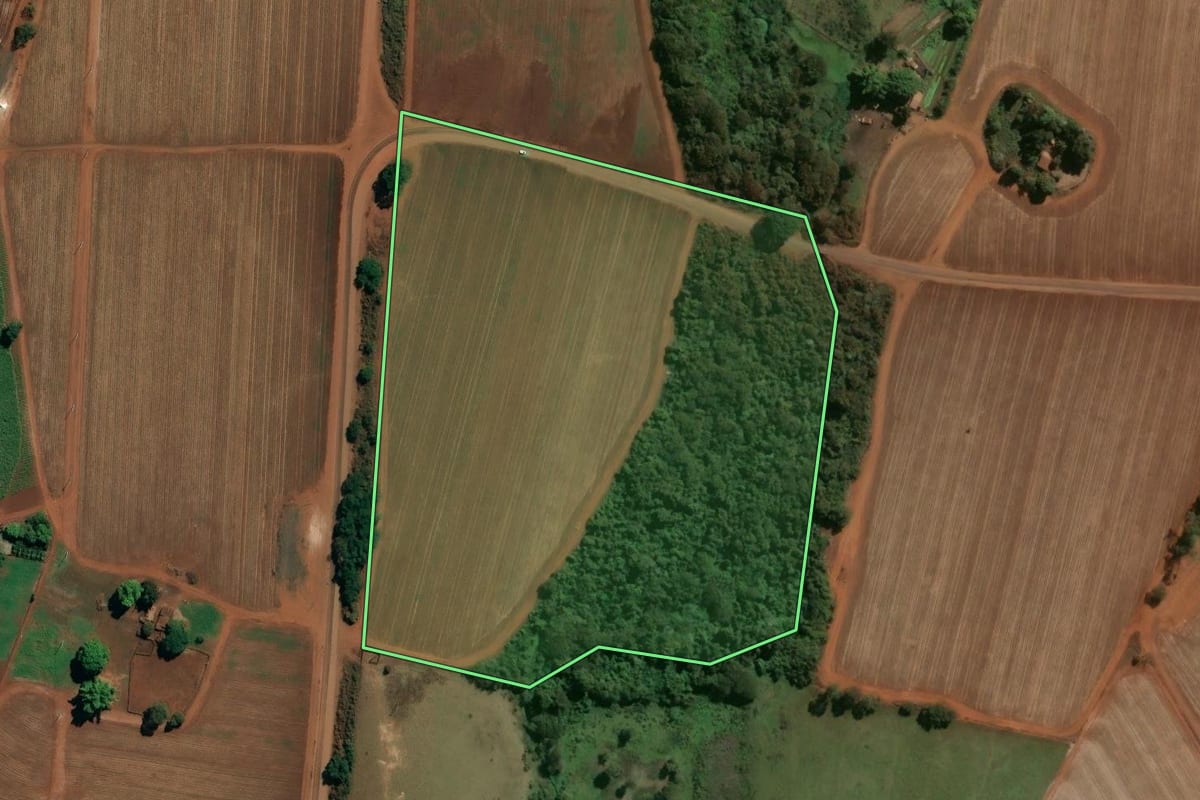 Imagem de satélite do imóvel rural em Guará (SP), com o contorno declarado no CAR desenhado por cima.