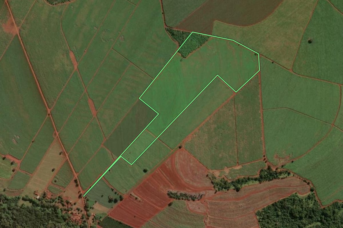 Imagem de satélite do imóvel rural em Guará (SP), com o contorno declarado no CAR desenhado por cima.
