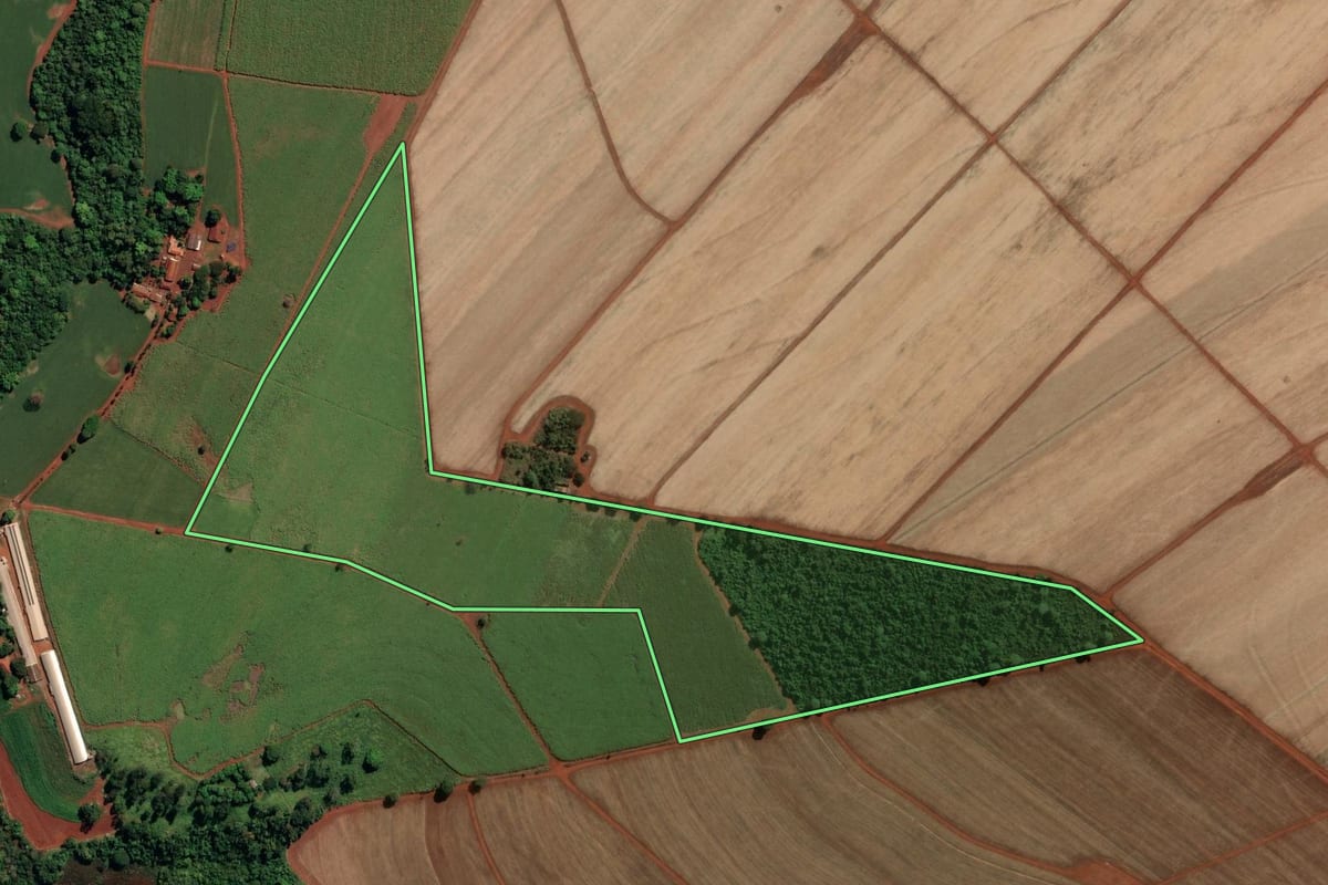Imagem de satélite do imóvel rural em Guará (SP), com o contorno declarado no CAR desenhado por cima.