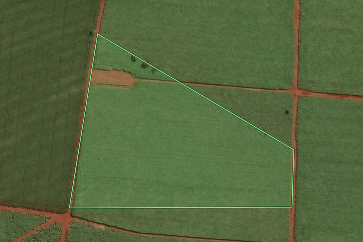 Imagem de satélite do imóvel rural em Guará (SP), com o contorno declarado no CAR desenhado por cima.