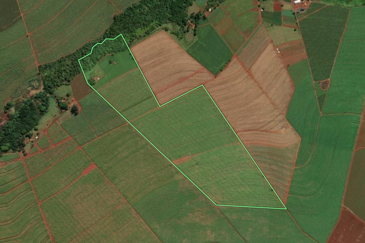 Imagem de satélite do imóvel rural em Guará (SP), com o contorno declarado no CAR desenhado por cima.