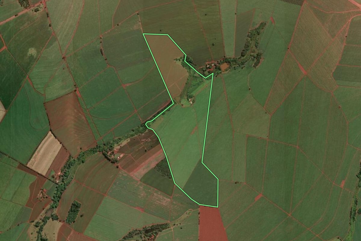 Imagem de satélite do imóvel rural em Guará (SP), com o contorno declarado no CAR desenhado por cima.