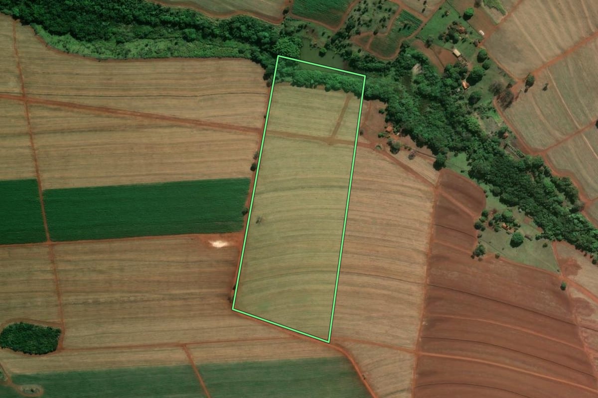 Imagem de satélite do imóvel rural em Guará (SP), com o contorno declarado no CAR desenhado por cima.