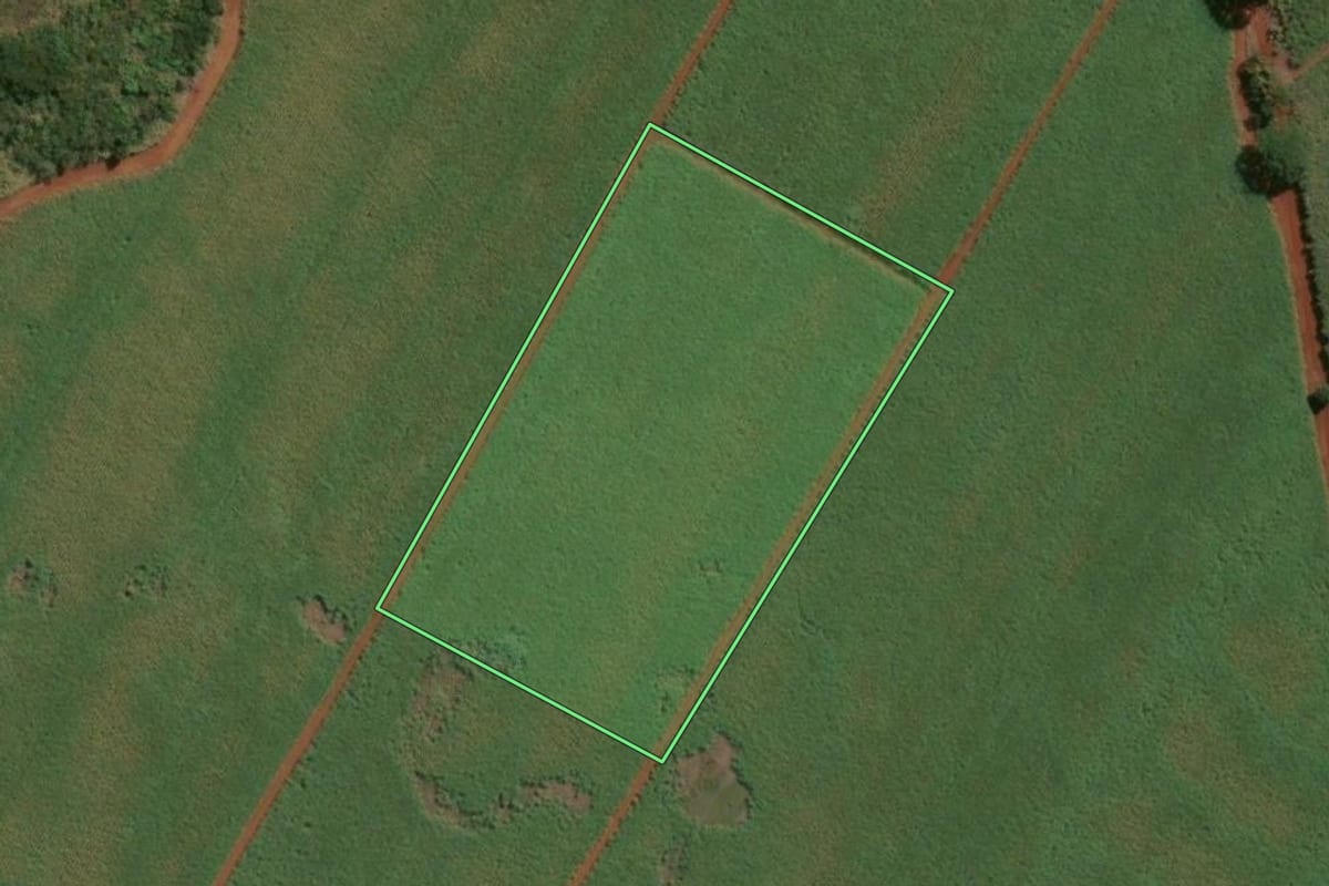Imagem de satélite do imóvel rural em Guará (SP), com o contorno declarado no CAR desenhado por cima.
