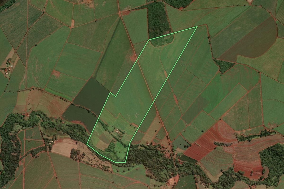 Imagem de satélite do imóvel rural em Guará (SP), com o contorno declarado no CAR desenhado por cima.