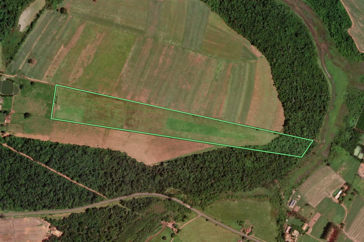 Imagem de satélite do imóvel rural em Guaraci (SP), com o contorno declarado no CAR desenhado por cima.