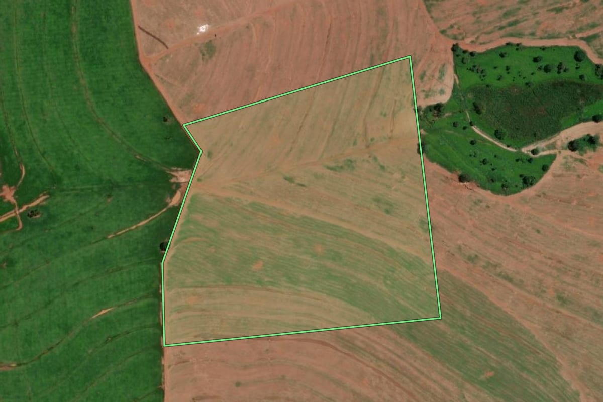 Imagem de satélite do imóvel rural em Guaraci (SP), com o contorno declarado no CAR desenhado por cima.