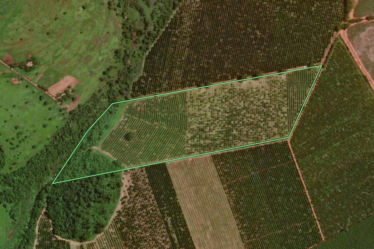 Imagem de satélite do imóvel rural em Guaraci (SP), com o contorno declarado no CAR desenhado por cima.