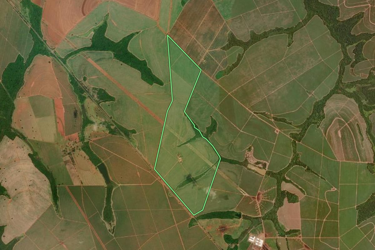 Imagem de satélite do imóvel rural em Guaraci (SP), com o contorno declarado no CAR desenhado por cima.