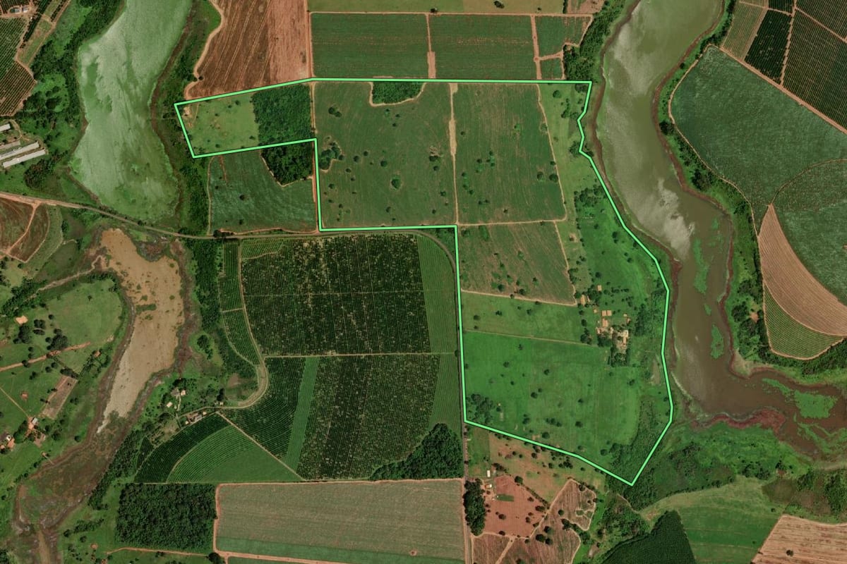 Imagem de satélite do imóvel rural em Guaraci (SP), com o contorno declarado no CAR desenhado por cima.
