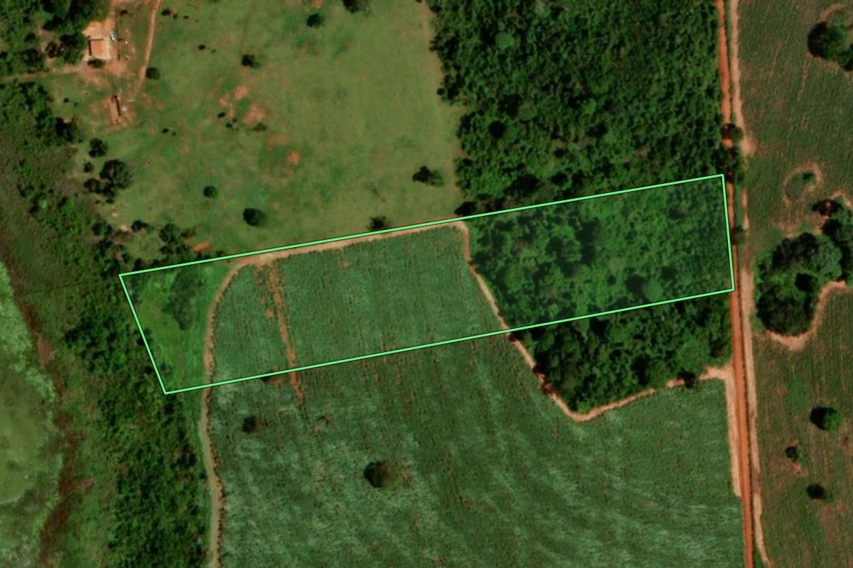 Imagem de satélite do imóvel rural em Guaraci (SP), com o contorno declarado no CAR desenhado por cima.