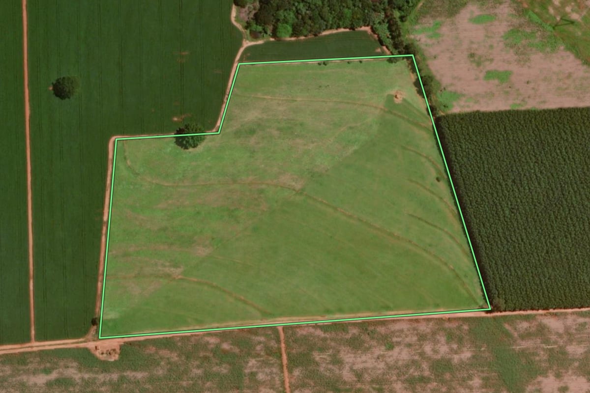 Imagem de satélite do imóvel rural em Olímpia (SP), com o contorno declarado no CAR desenhado por cima.