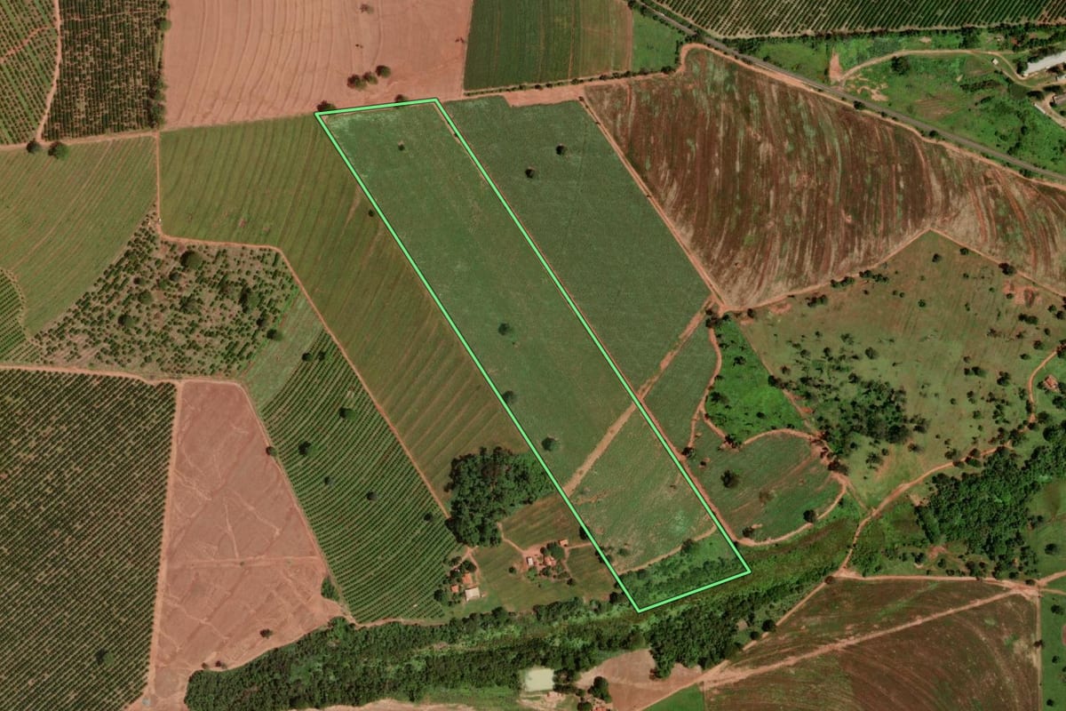 Imagem de satélite do imóvel rural em Guaraci (SP), com o contorno declarado no CAR desenhado por cima.