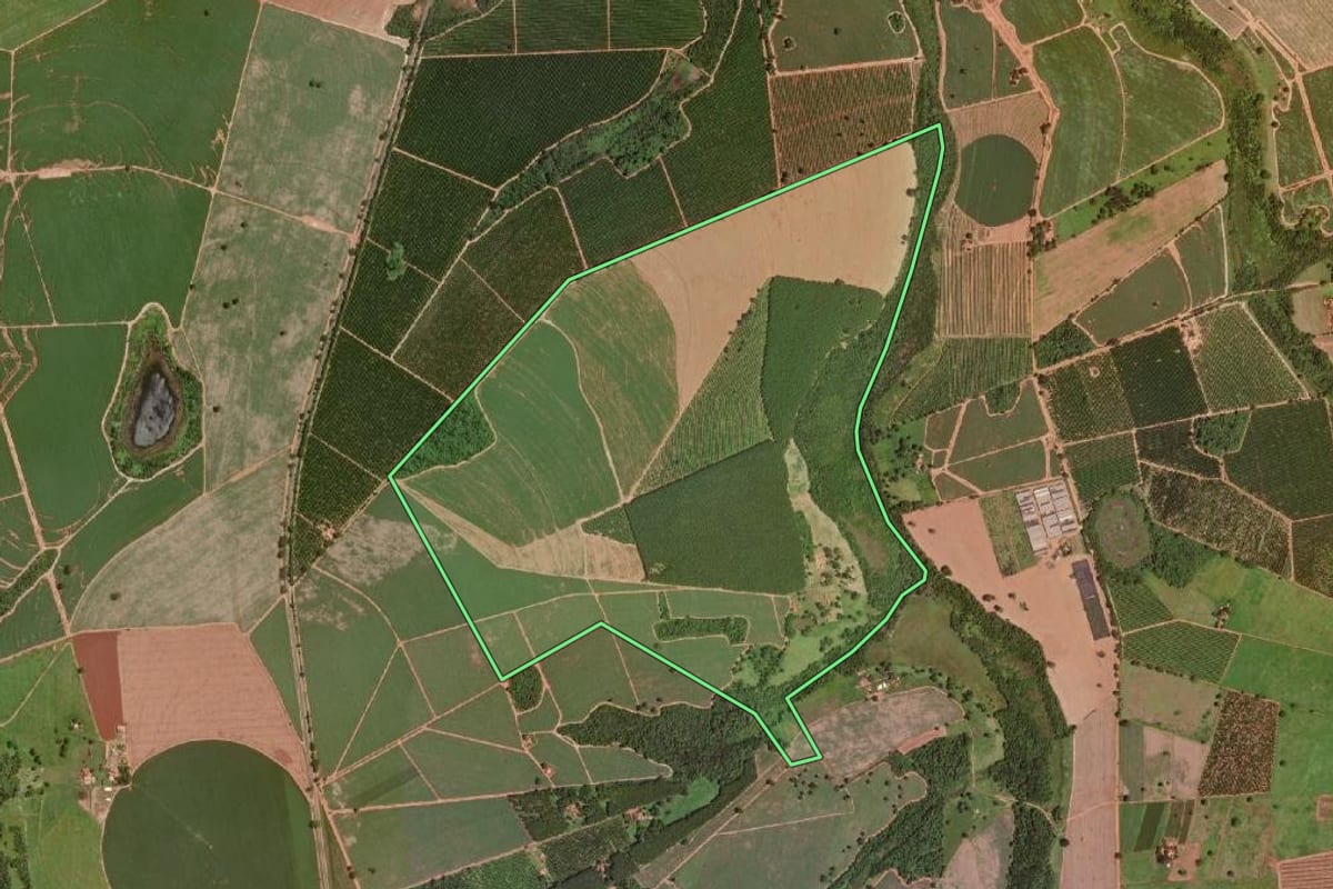 Imagem de satélite do imóvel rural em Guaraci (SP), com o contorno declarado no CAR desenhado por cima.