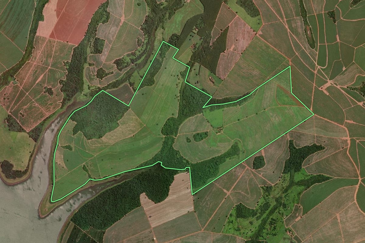 Imagem de satélite do imóvel rural em Guaraci (SP), com o contorno declarado no CAR desenhado por cima.