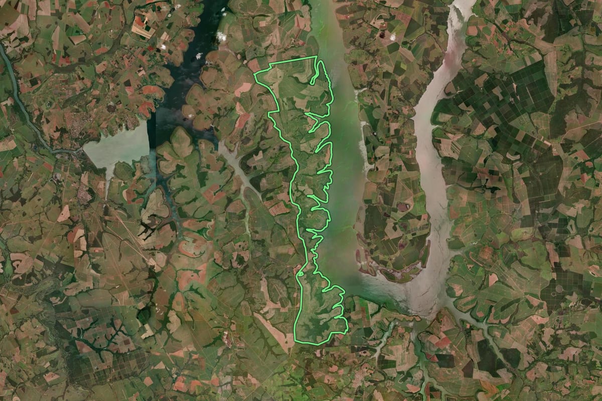 Imagem de satélite do imóvel rural em Guaraci (SP), com o contorno declarado no CAR desenhado por cima.