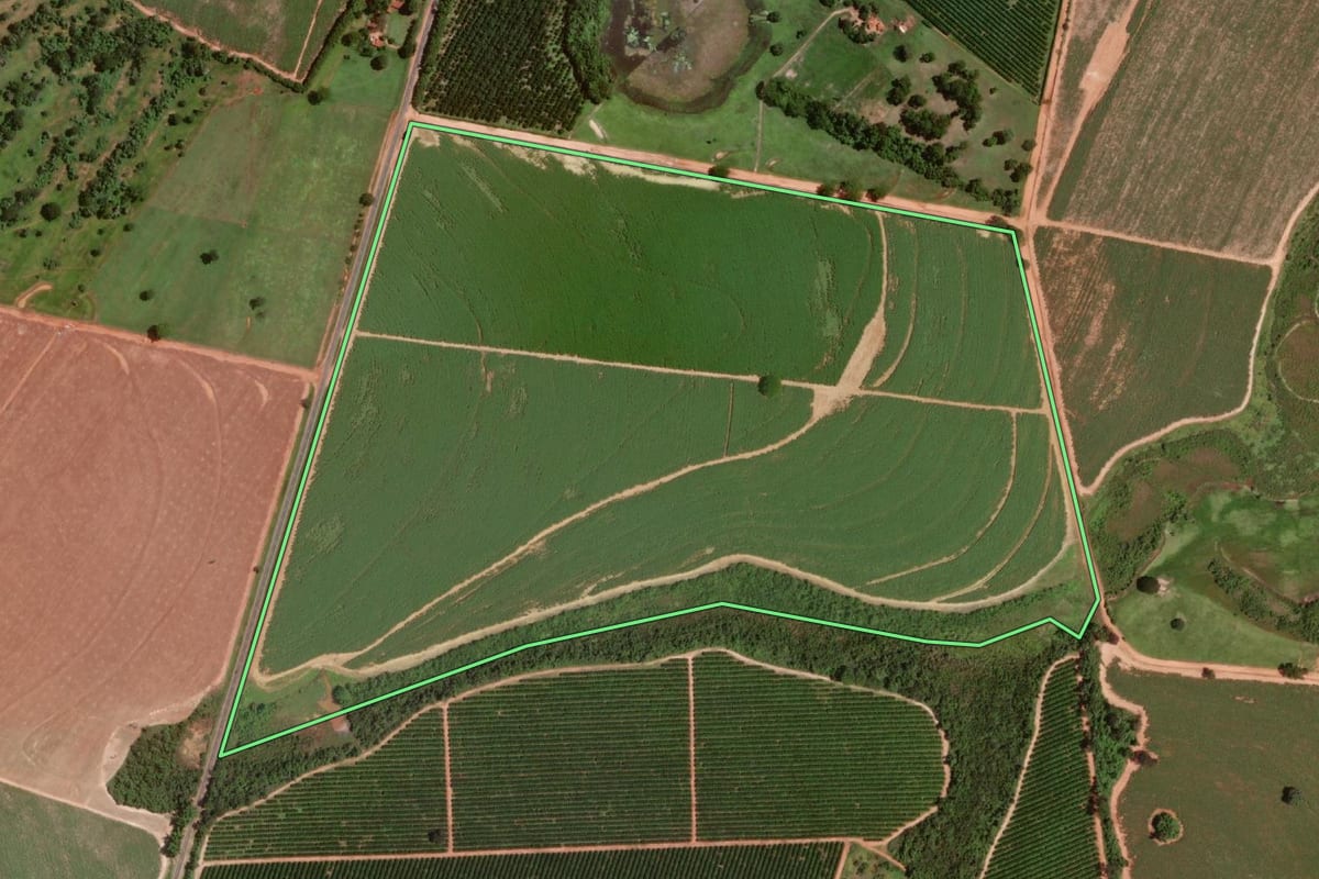 Imagem de satélite do imóvel rural em Guaraci (SP), com o contorno declarado no CAR desenhado por cima.