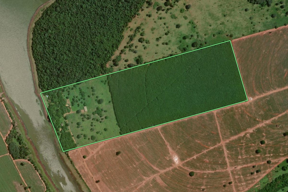 Imagem de satélite do imóvel rural em Guaraci (SP), com o contorno declarado no CAR desenhado por cima.