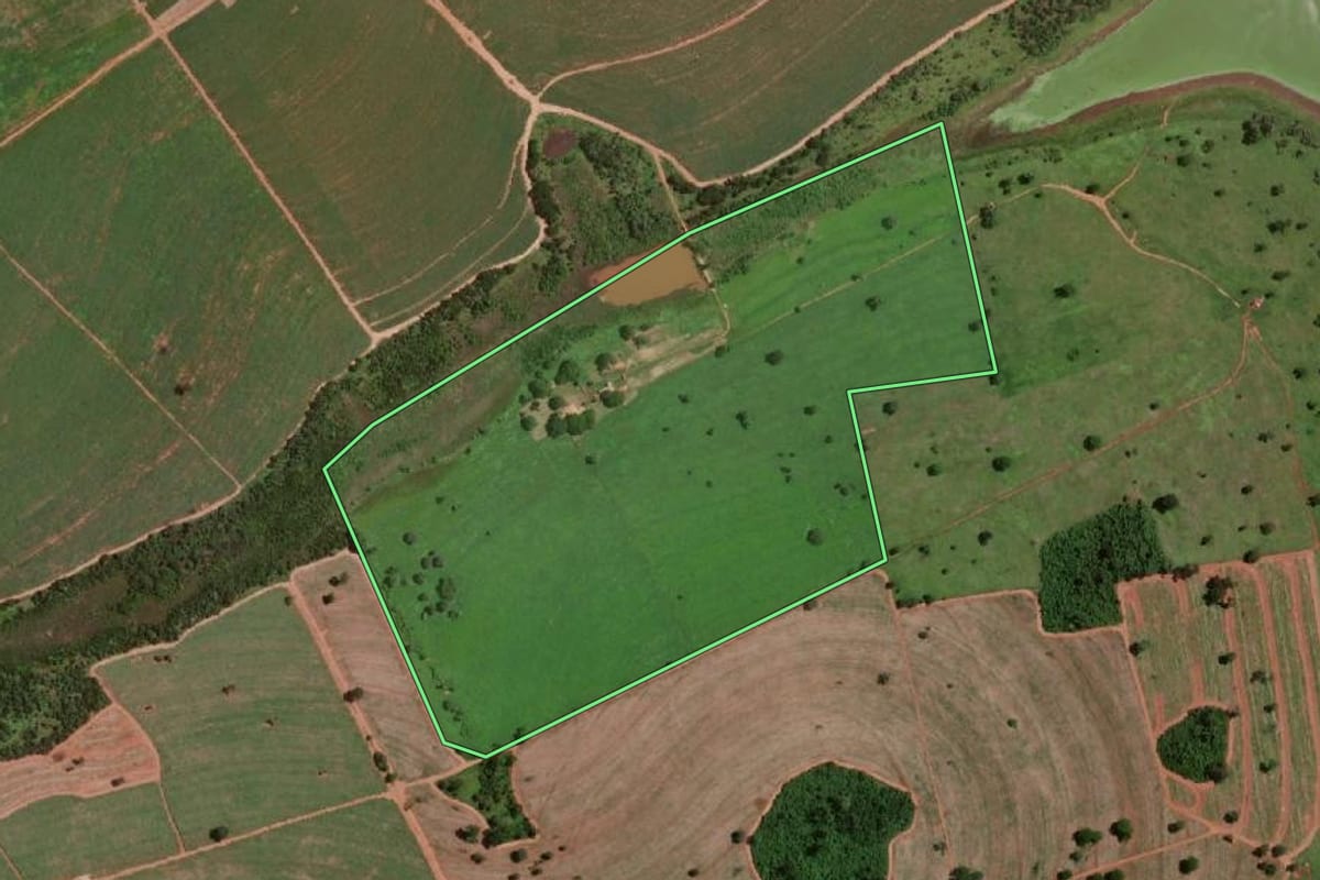 Imagem de satélite do imóvel rural em Guaraci (SP), com o contorno declarado no CAR desenhado por cima.
