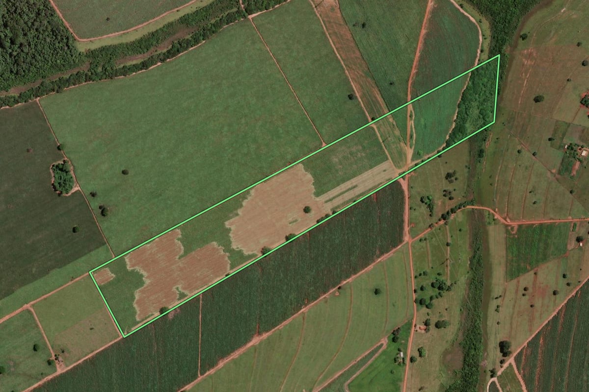 Imagem de satélite do imóvel rural em Guarani d'Oeste (SP), com o contorno declarado no CAR desenhado por cima.
