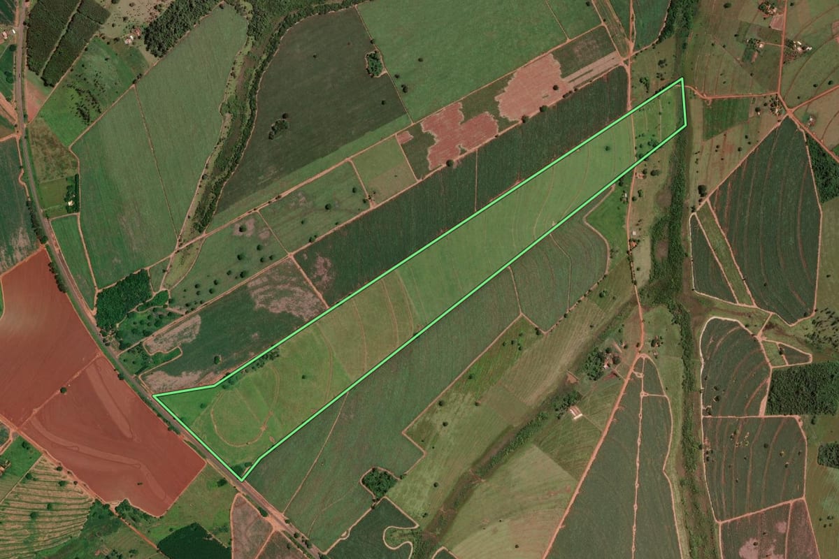 Imagem de satélite do imóvel rural em Guarani d'Oeste (SP), com o contorno declarado no CAR desenhado por cima.