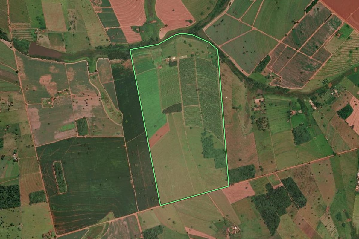 Imagem de satélite do imóvel rural em Guarani d'Oeste (SP), com o contorno declarado no CAR desenhado por cima.