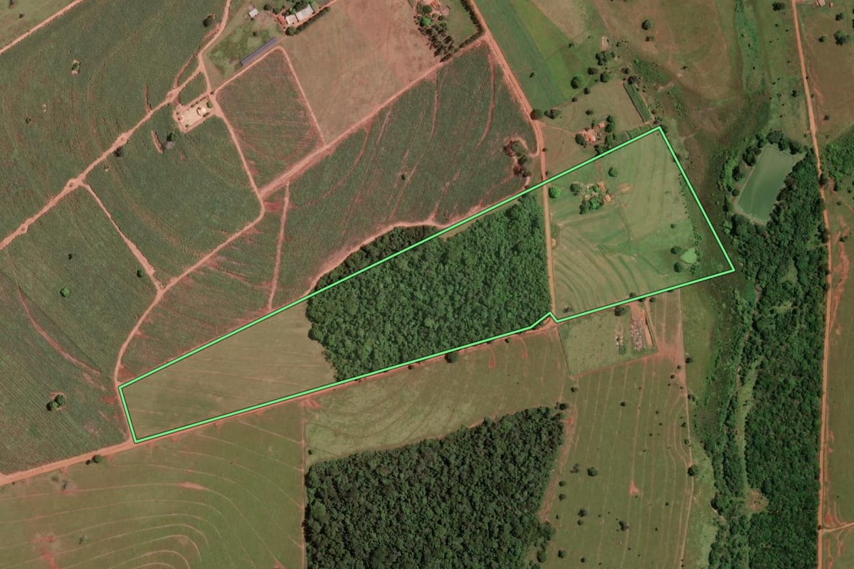 Imagem de satélite do imóvel rural em Guarani d'Oeste (SP), com o contorno declarado no CAR desenhado por cima.