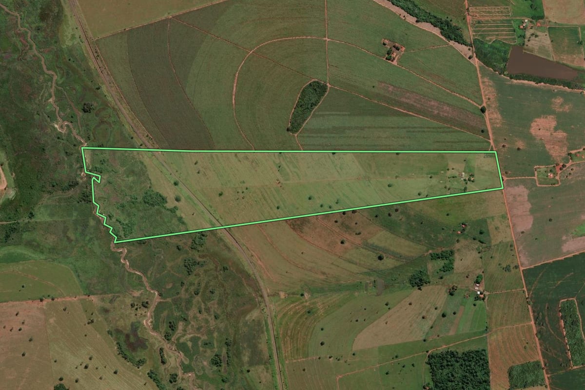 Imagem de satélite do imóvel rural em Guarani d'Oeste (SP), com o contorno declarado no CAR desenhado por cima.