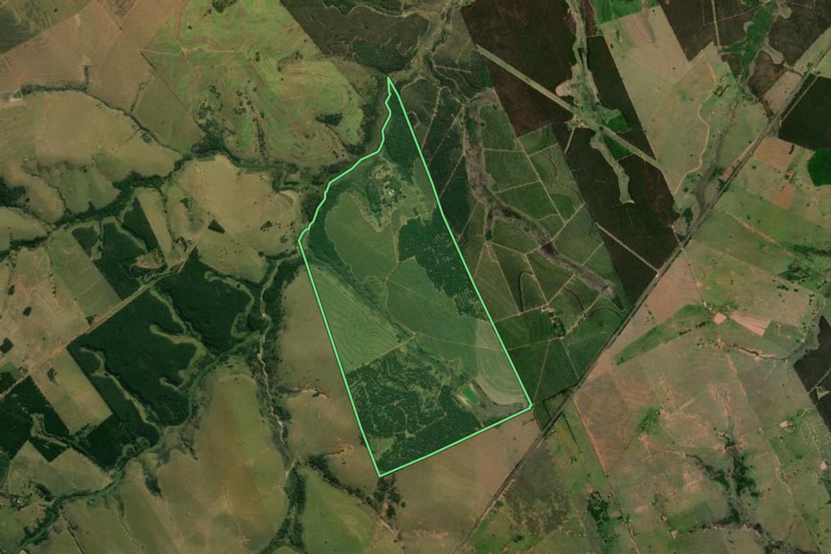 Imagem de satélite do imóvel rural em Guarantã (SP), com o contorno declarado no CAR desenhado por cima.