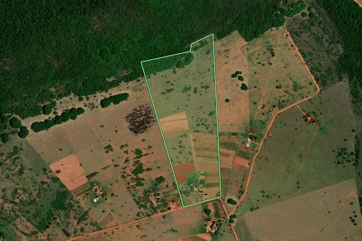 Imagem de satélite do imóvel rural em Guarantã (SP), com o contorno declarado no CAR desenhado por cima.