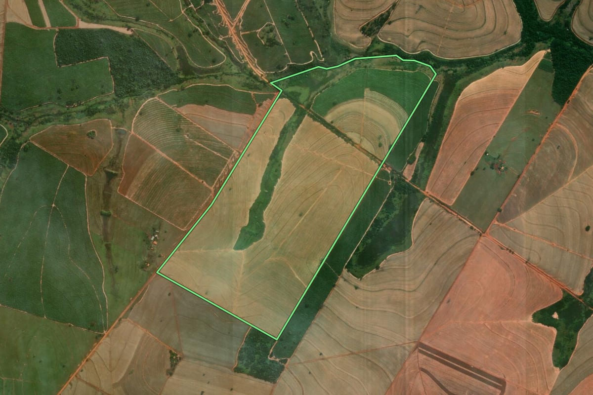Imagem de satélite do imóvel rural em Guararapes (SP), com o contorno declarado no CAR desenhado por cima.