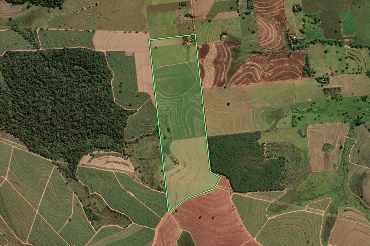Imagem de satélite do imóvel rural em Guararapes (SP), com o contorno declarado no CAR desenhado por cima.
